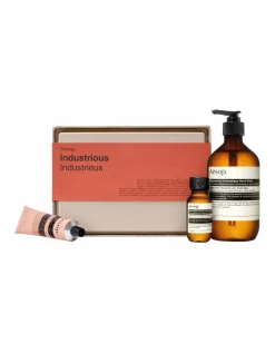 Buy 🔥 Aesop Industrious Kit 🌟
